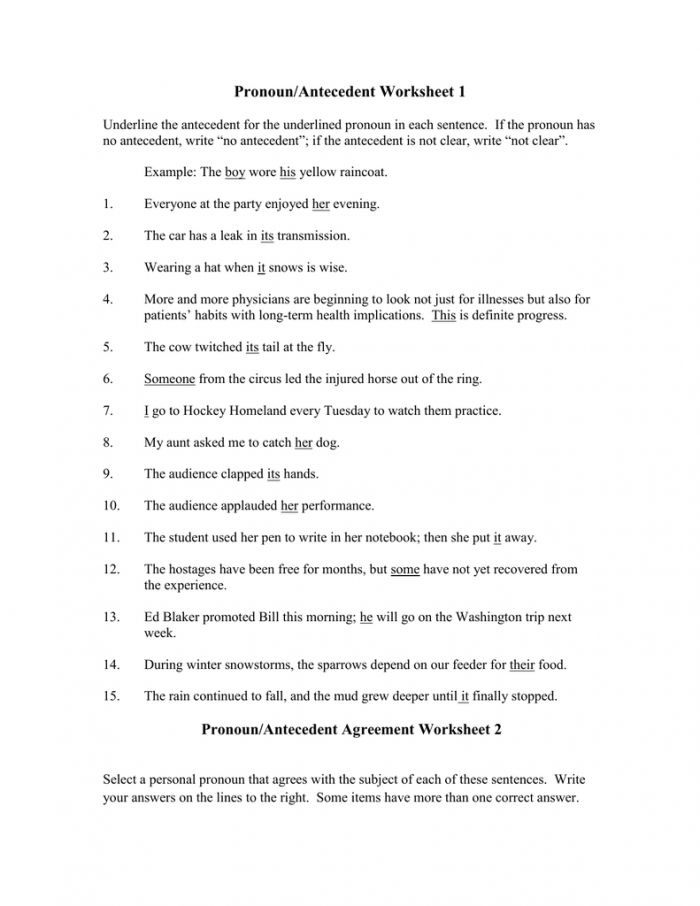 Pronoun Agreement 1 Worksheets | 99Worksheets
