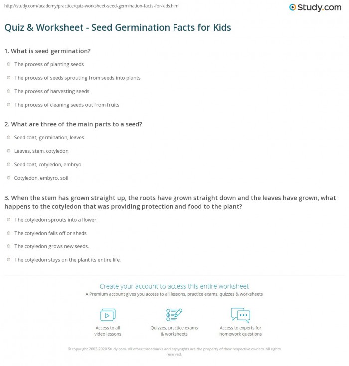 Quiz   Worksheet