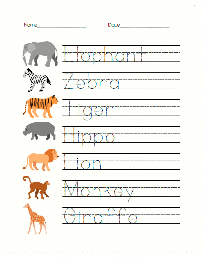 Safari Animal Math And Writing Worksheets For Prek