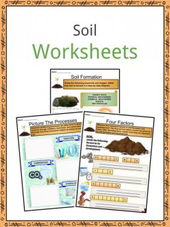 Layers Of Soil: Get The Dirt!