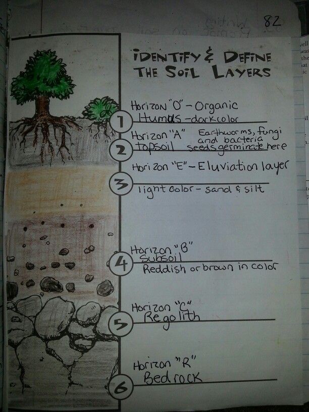 layers-of-soil-get-the-dirt-worksheets-99worksheets