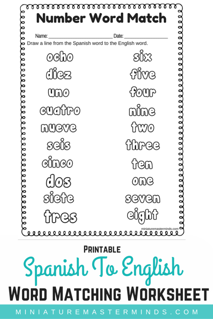 Spanish To English Word Number Matching Worksheet