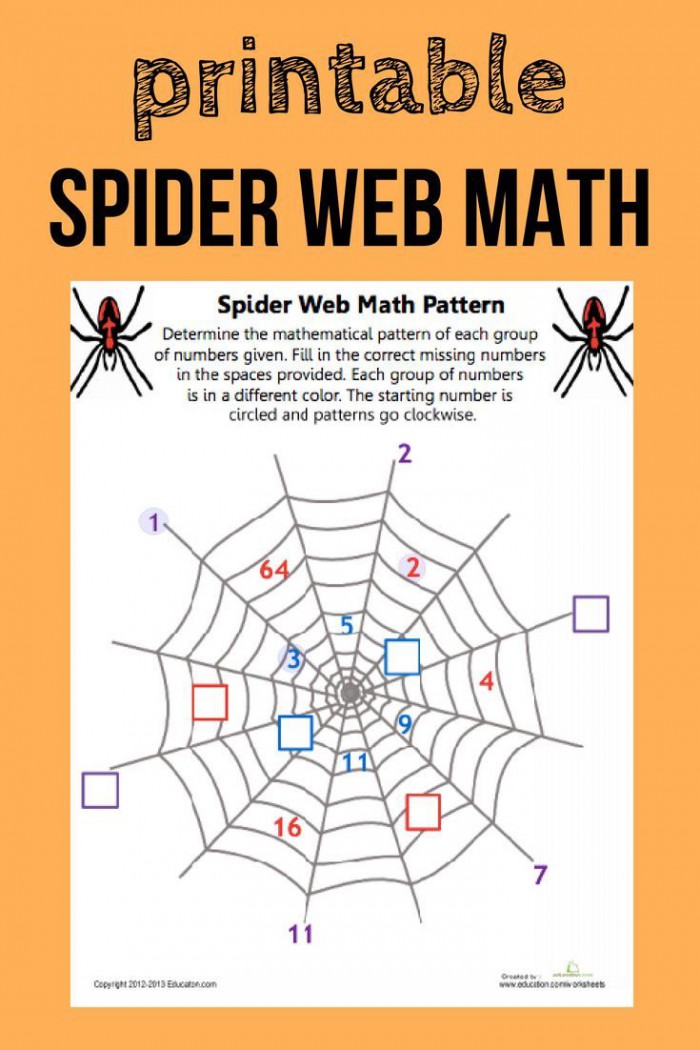 Spider Web Math