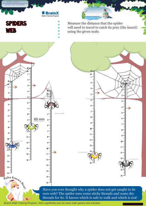 Spiders Web Math Worksheet For Grade