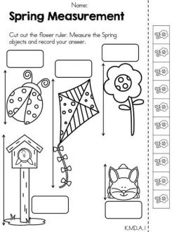 Spring Math: Measurement