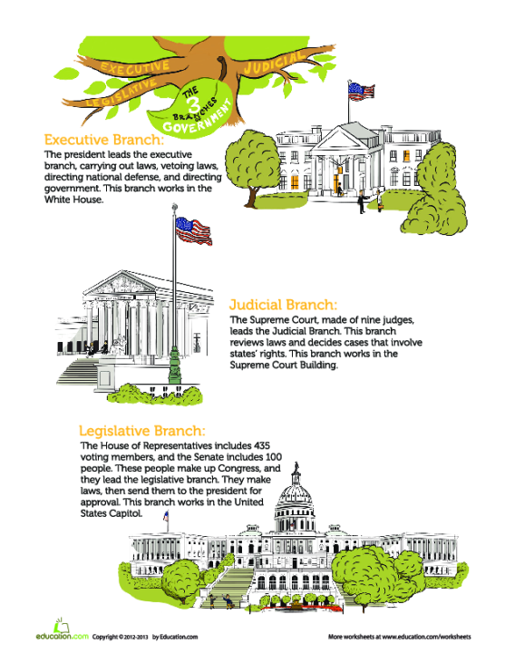 The Branches Of Government