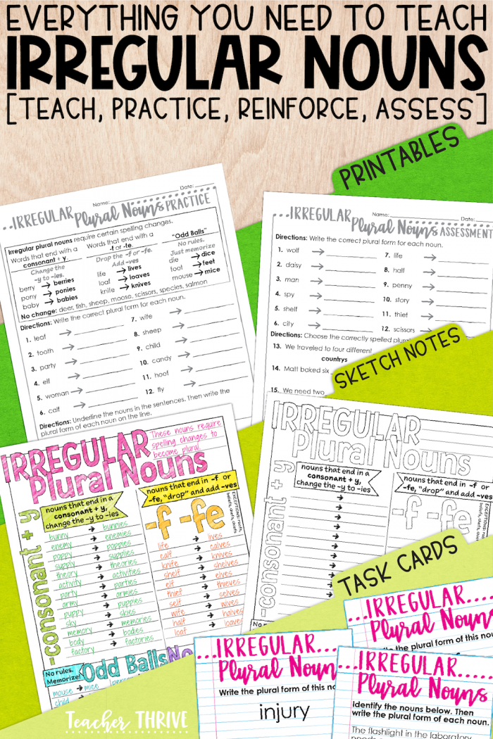 Third Grade Grammar Irregular Plural Nouns With Images