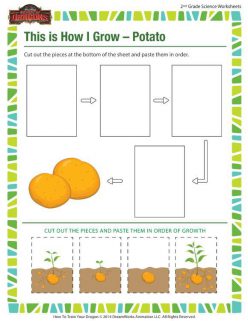 How Does It Grow?: Potato
