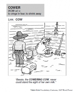Glossary: Word Problem Components