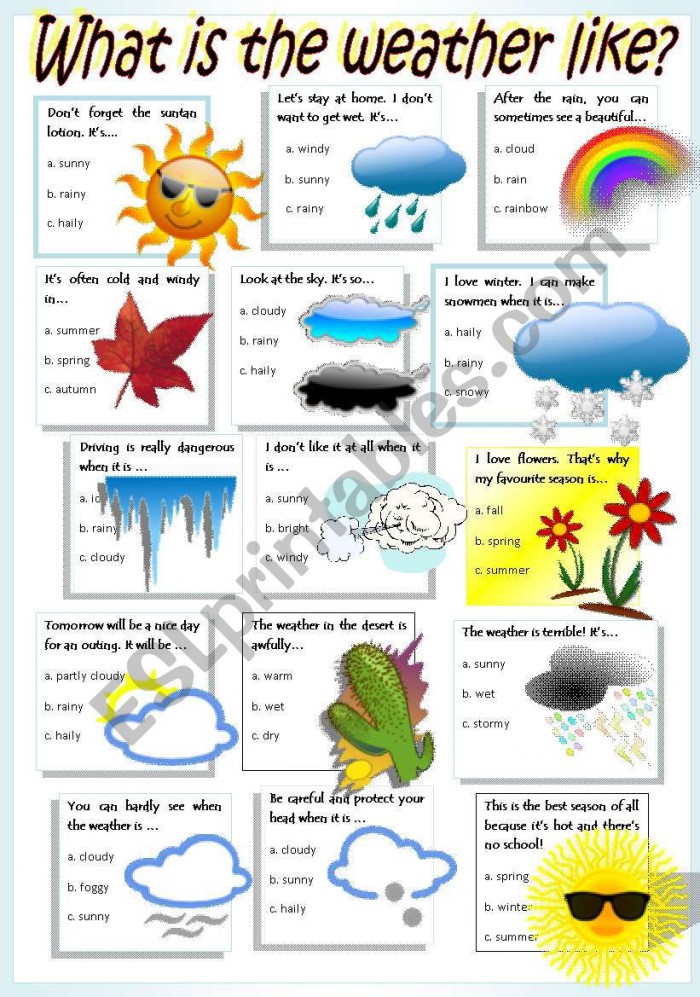 weather-in-the-seasons-worksheets-99worksheets