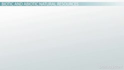 List Ways To Conserve Natural Resources