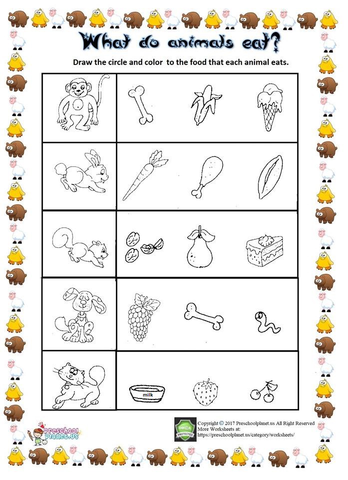 What Do Animals Eat Worksheet  Preschoolplanet