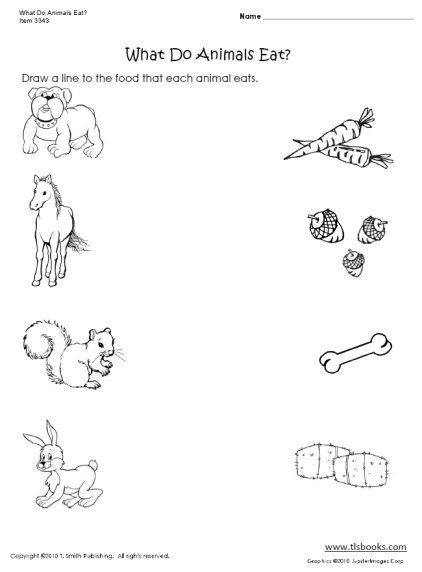 What Do Animals Eat Worksheet With Images