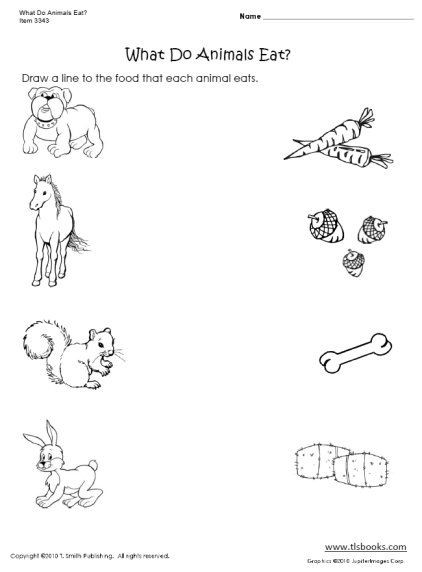 Food Animals Eat! Worksheets | 99Worksheets