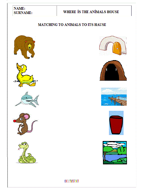 Where Do Animals Live? Worksheets | 99Worksheets