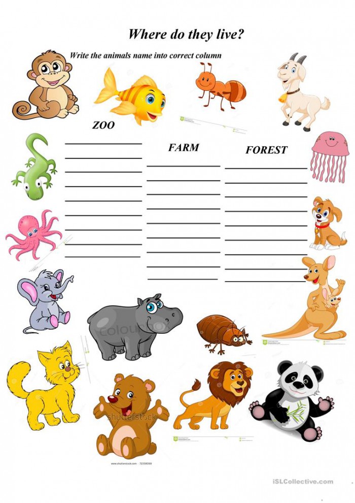 Where Do Animals Live? Worksheets | 99Worksheets