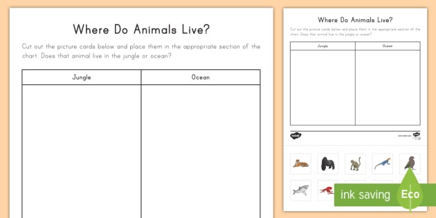 Where Do Animals Live Worksheet  Worksheet Teacher Made