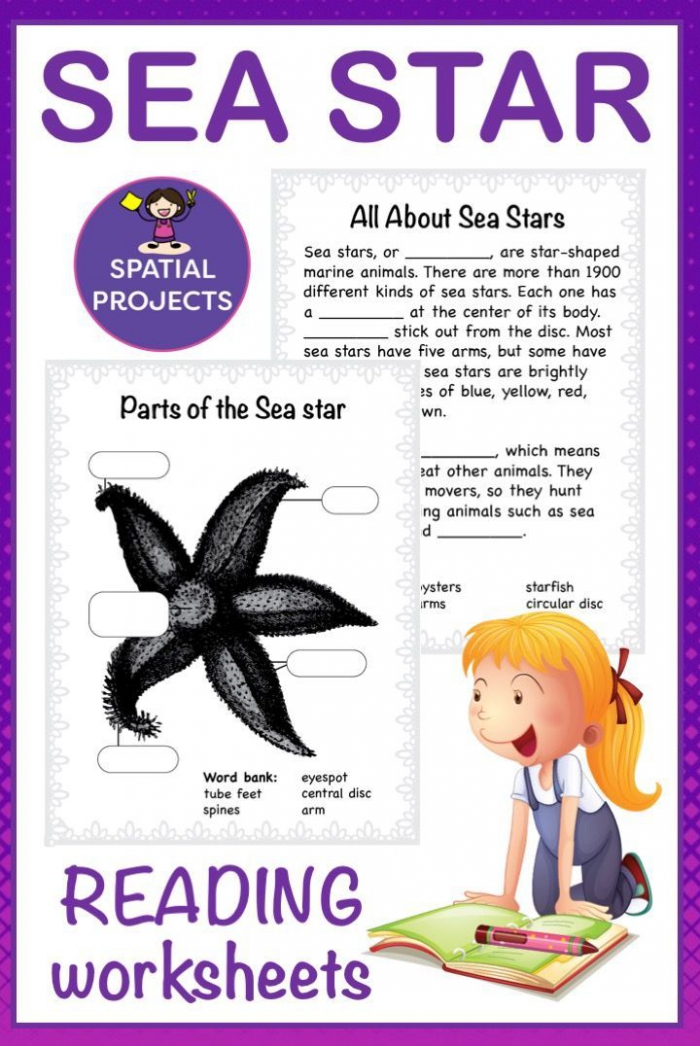 All About Sea Stars Nonfiction Unit
