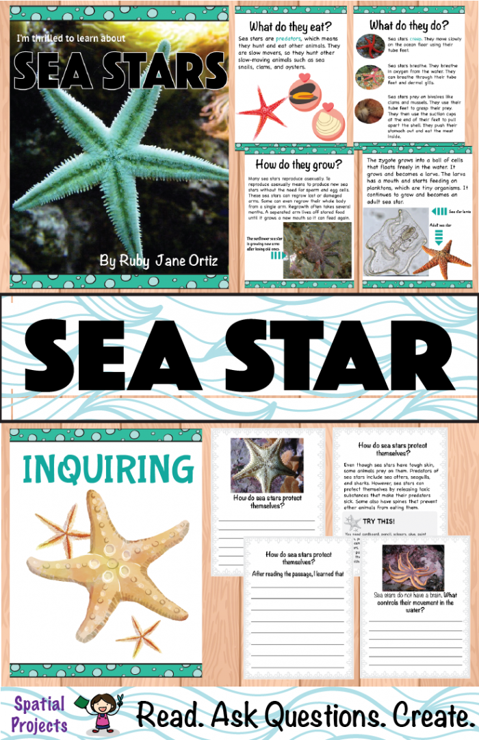 Starfish Text Features Worksheets | 99Worksheets