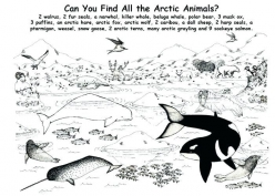 Antarctica Coloring Page