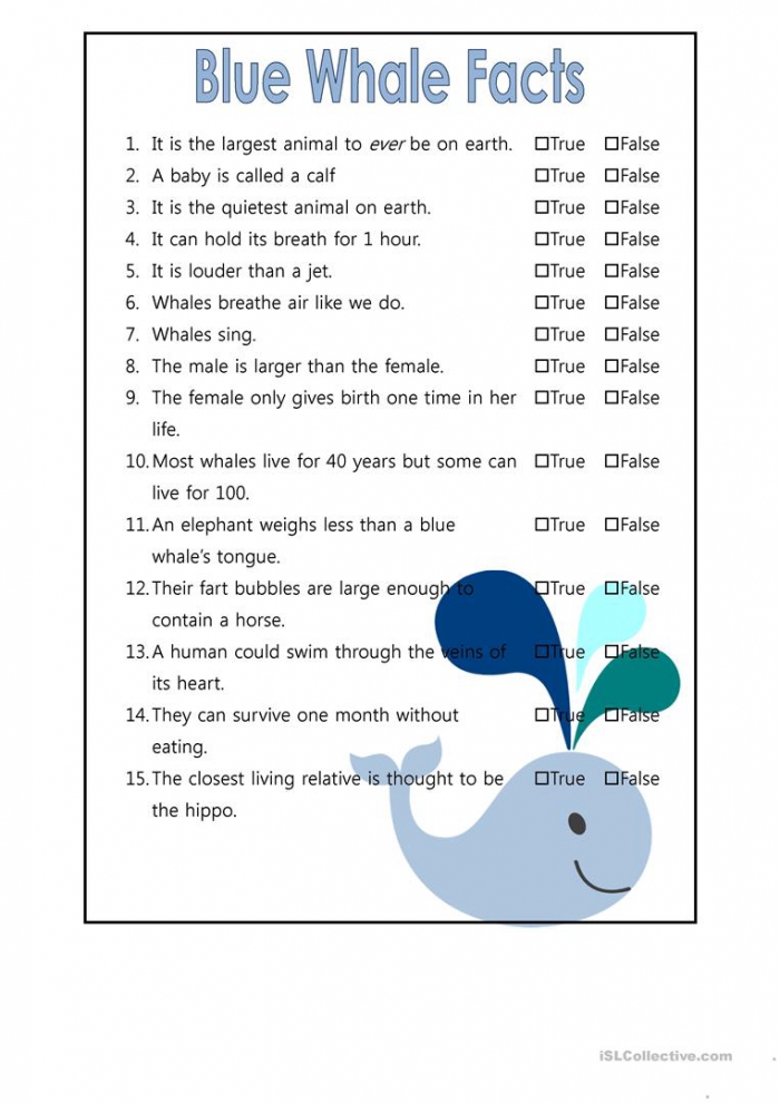 interesting-animals-whales-worksheets-99worksheets