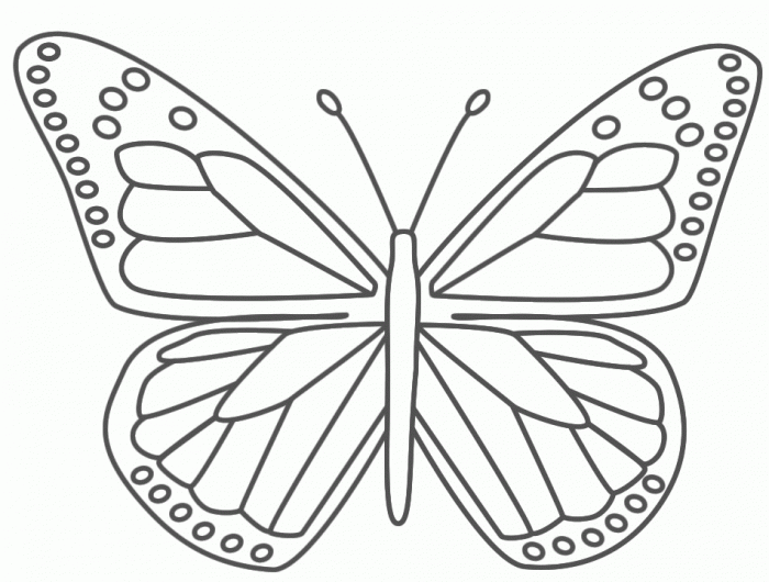 butterfly coloring page worksheets  99worksheets