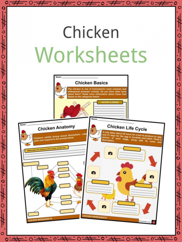 Chicken Addition Worksheets | 99Worksheets