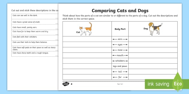 Comparing The Structure Of Cats And Dogs Worksheet  Worksheet