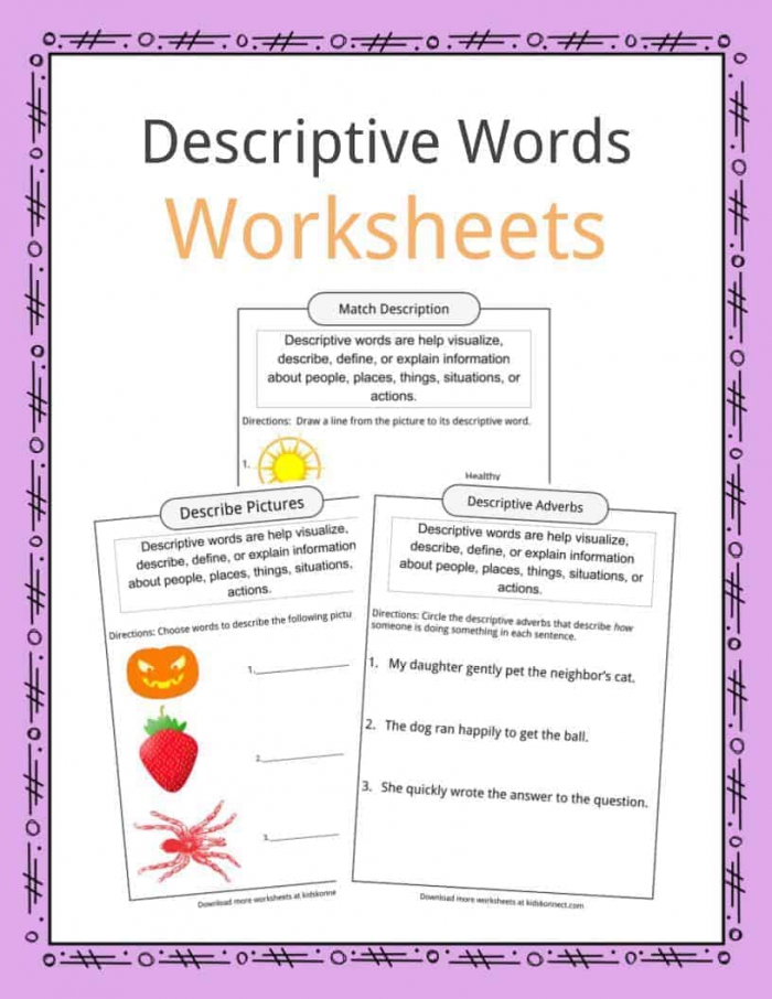 Descriptive Words Examples  Definition   Worksheets For Kids