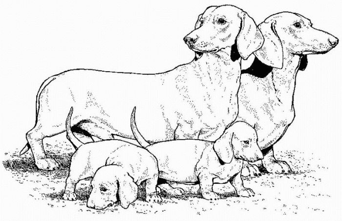Dogs Dogs With Mother Coloring Pages