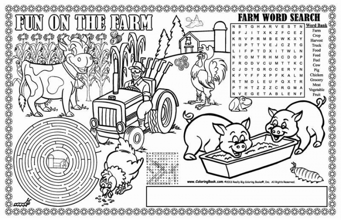 Fun On The Farm Colorable Placemats