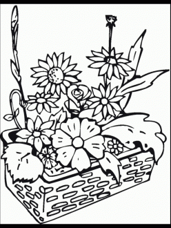 Flower Garden Coloring Page
