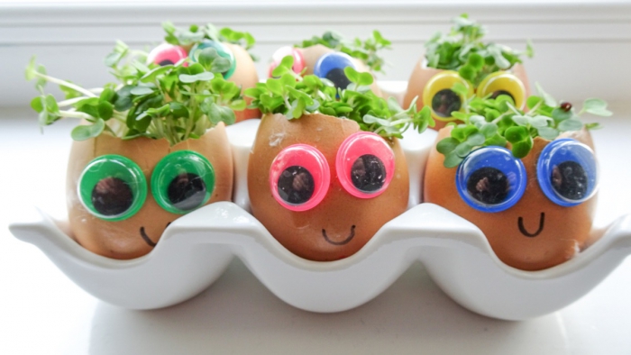 Googly Eye Egg Heads