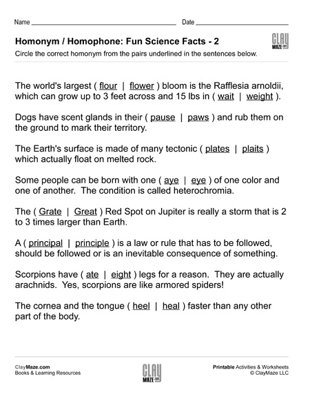 Homonym  Homophone Science Facts  Worksheet   Childrens