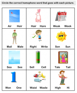 Homonym Fun