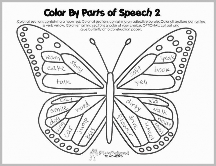 Butterfly Coloring Page Worksheets 99Worksheets