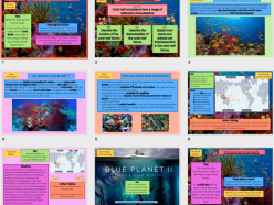 Earth’s Ecosystem: The Coral Reef
