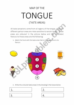 Taste Map