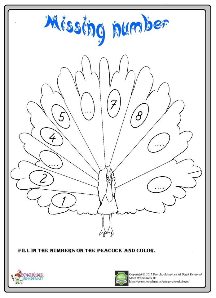 Color The Peacock! Worksheets | 99Worksheets