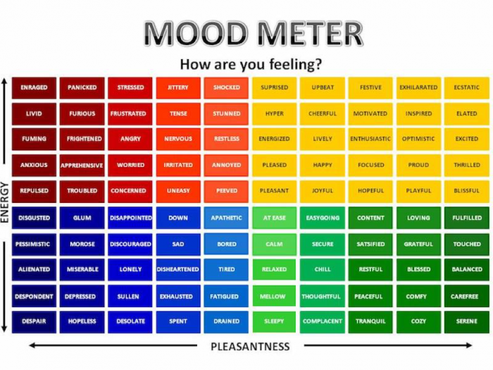 Mood Meter  Ps Q