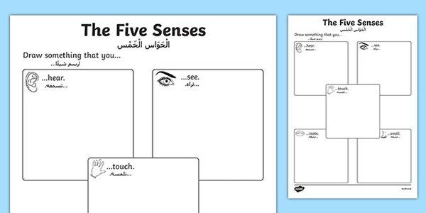 New  All About Me Superhero Writing Template Arabic Translation
