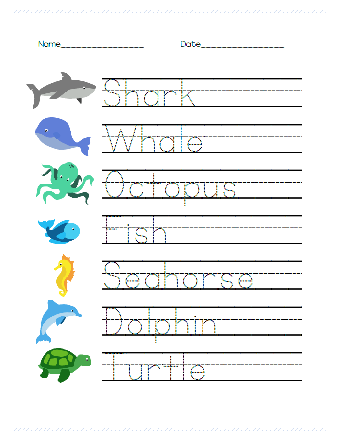 Ocean Animal Math And Writing Worksheets For Prek
