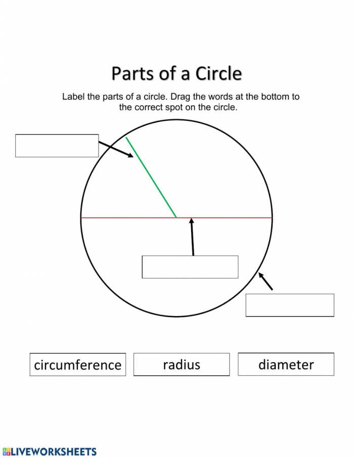 Parts Of A Circle