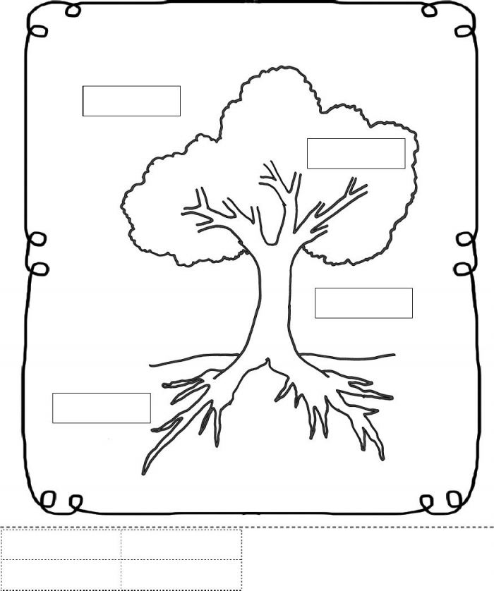 The Parts Of A Tree Worksheets 99Worksheets