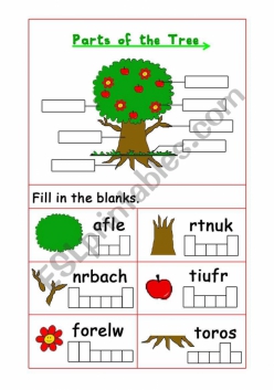 The Parts Of A Tree