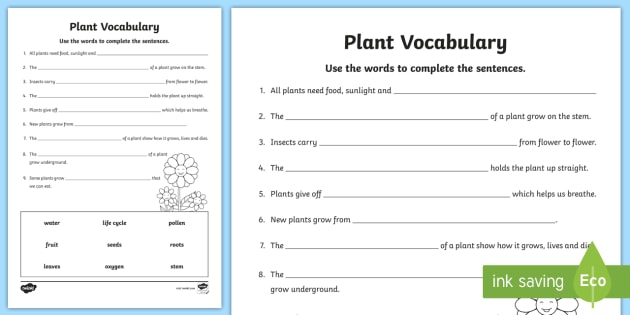 Plant Vocabulary Worksheet Teacher Made