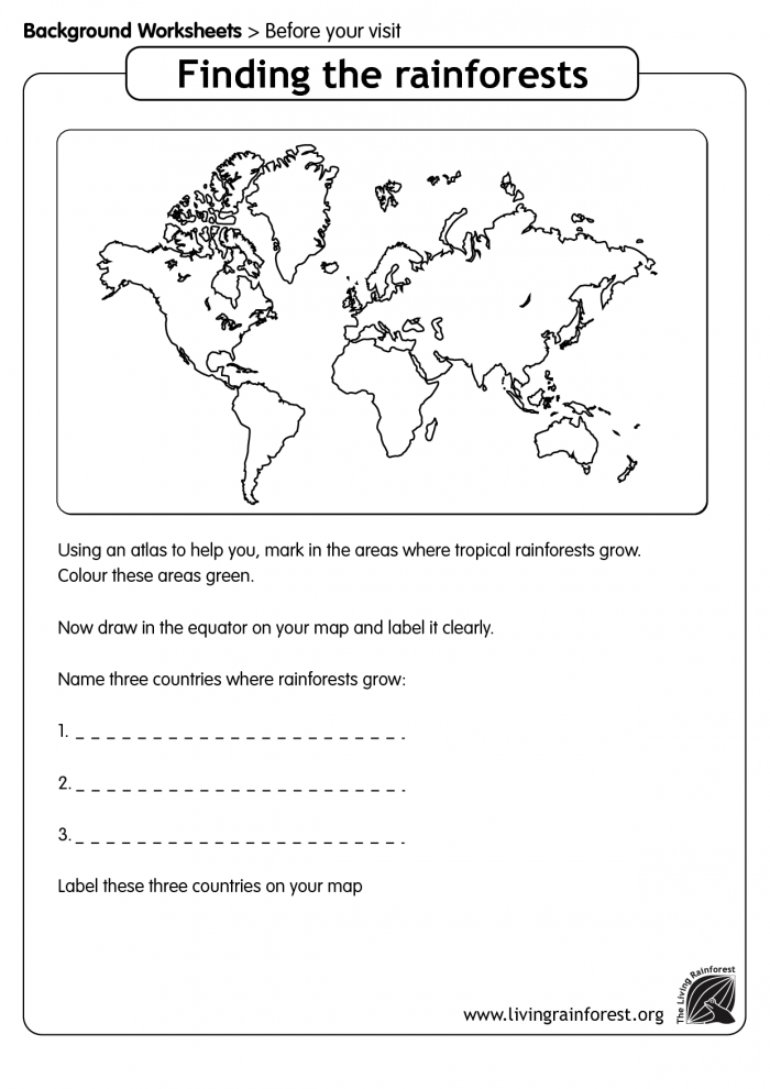 Rainforest Map Worksheet