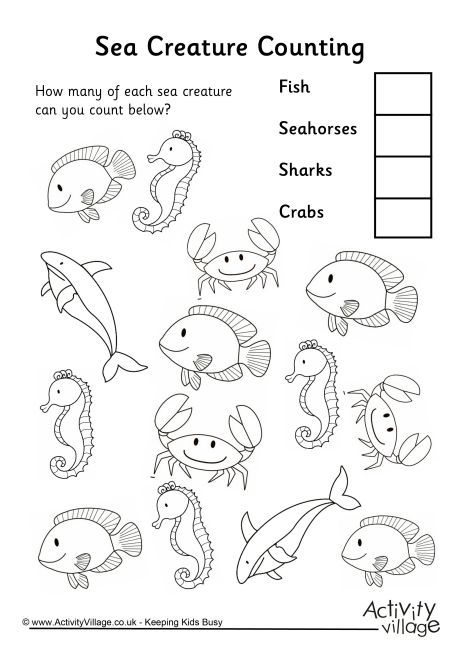 Sea Creature Counting