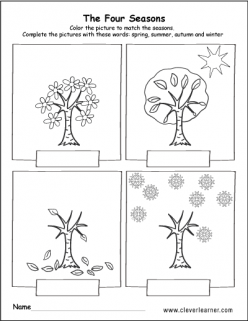 Four Seasons Activity Placemat