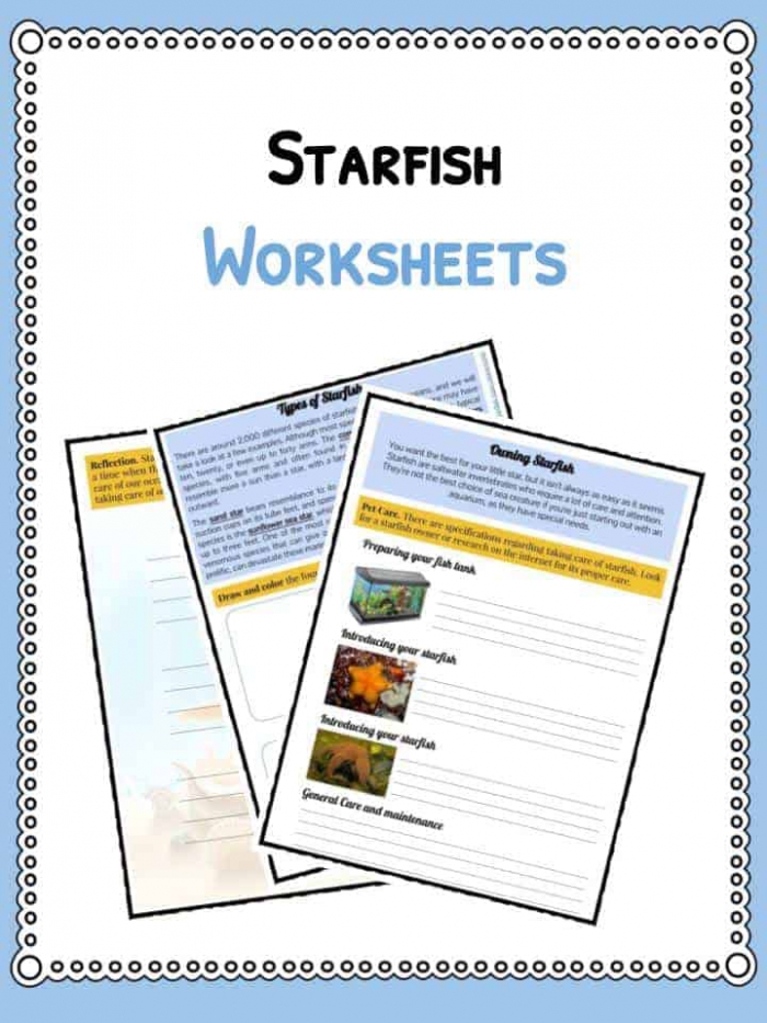 Starfish Facts  Information And Worksheets
